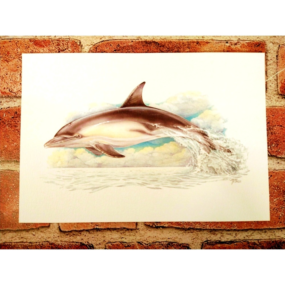 1999 Dolphin Print by Ohne Sorge 7"x10" Marine Wildlife